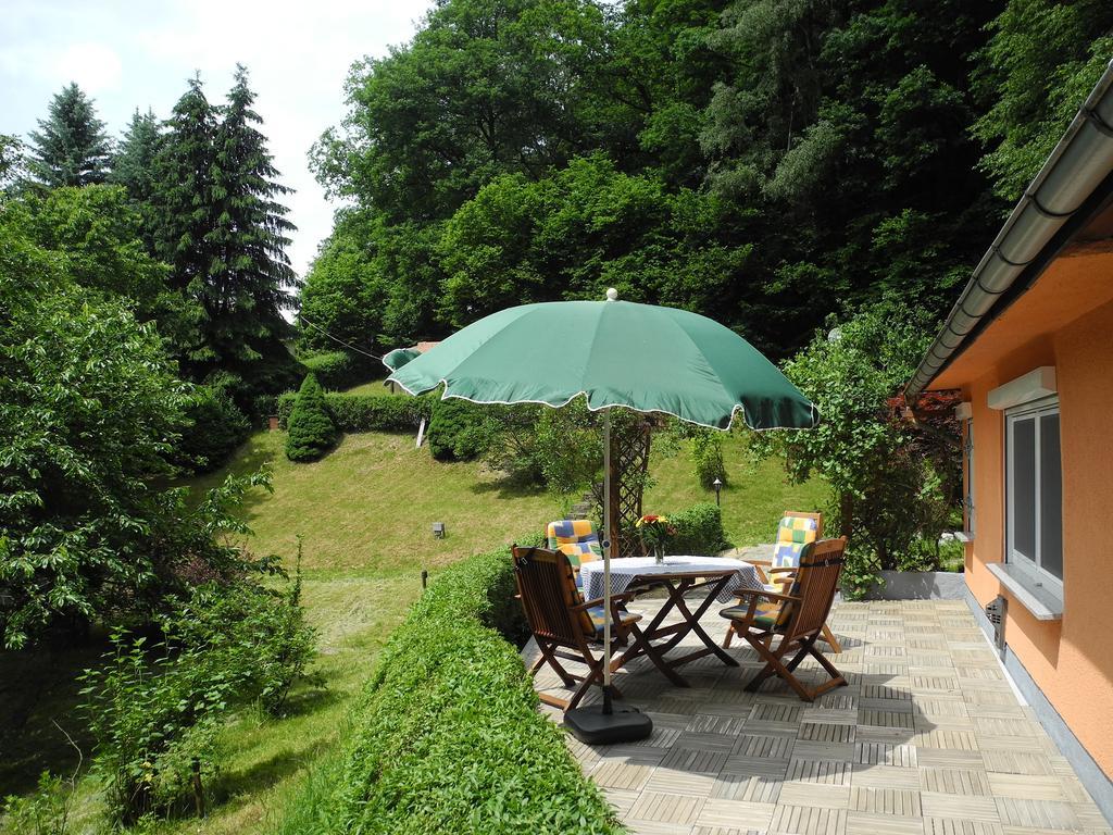 Ferienhaus Am Urzeitpark Sebnitz Hertigswalde Dış mekan fotoğraf