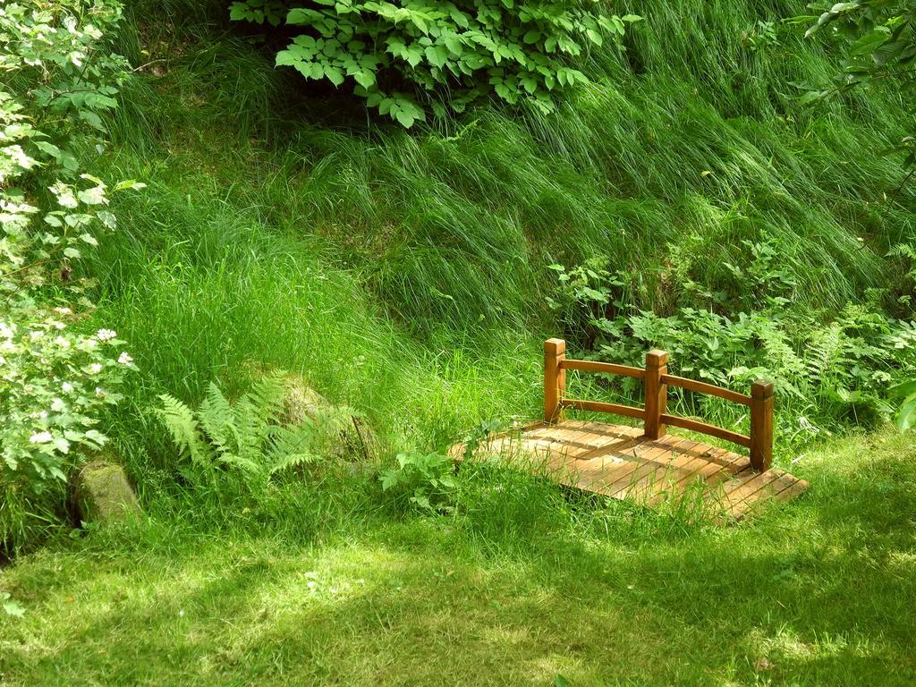Ferienhaus Am Urzeitpark Sebnitz Hertigswalde Dış mekan fotoğraf